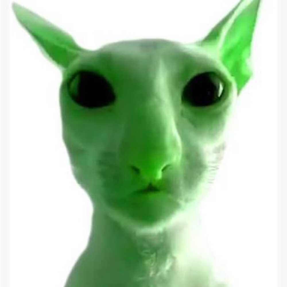 Meet your Posher, Genesis